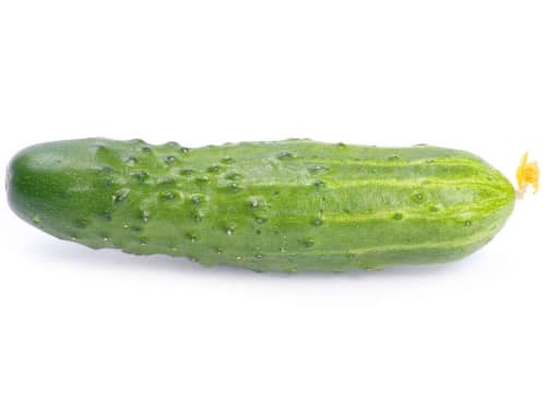 黄瓜