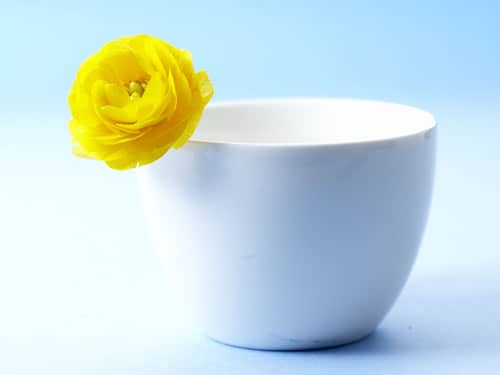 饭碗