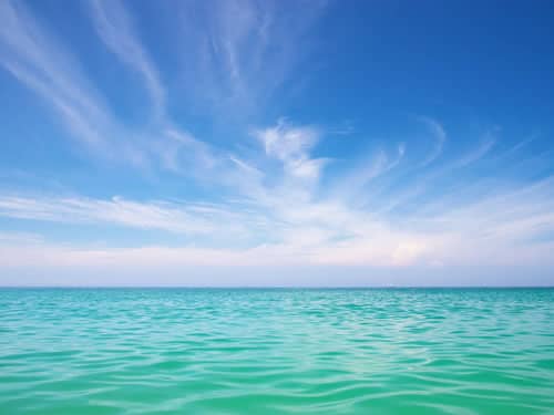 海洋