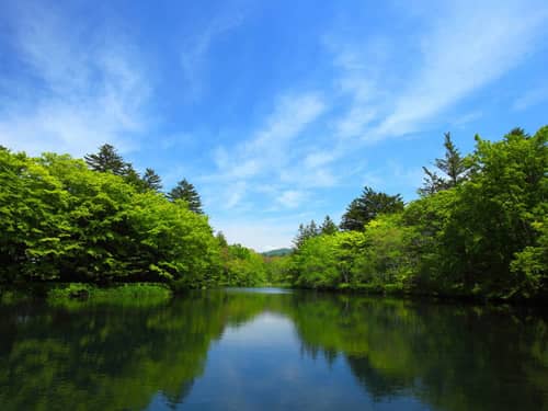 水塘