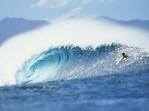 大海