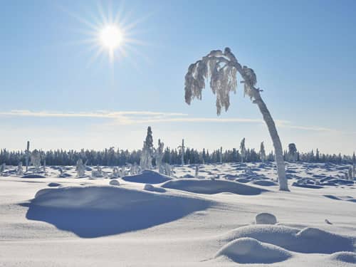 下雪出太阳